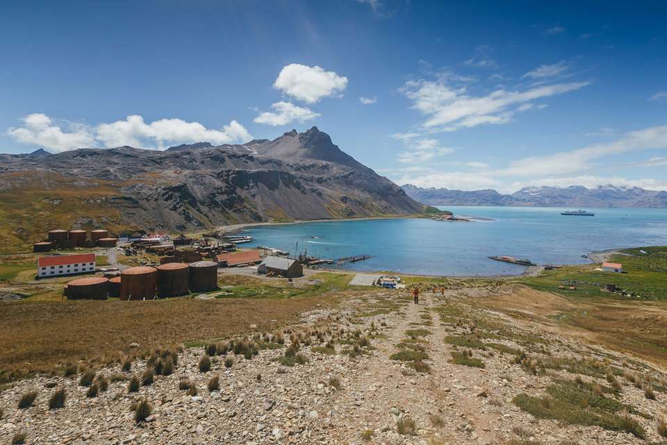 South Georgia and Antarctic Peninsula: Penguin Safari - undefined - Image 3