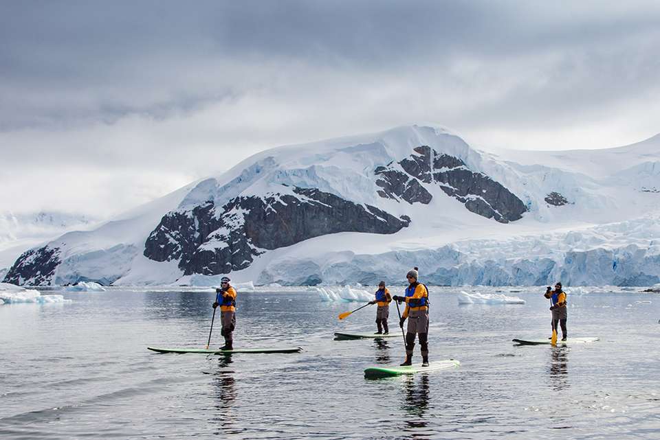 South Georgia and Antarctic Peninsula: Penguin Safari - undefined - Image 6