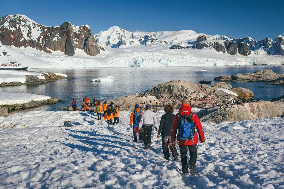 South Georgia and Antarctic Peninsula: Penguin Safari - undefined - Image 7