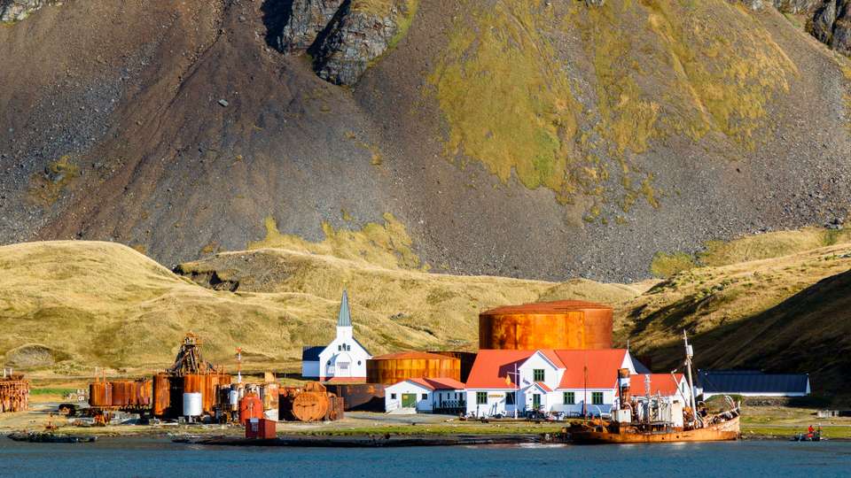 South Georgia and Antarctic Peninsula: Penguin Safari - Exodus Adventure Travels - Argentina - Image 11