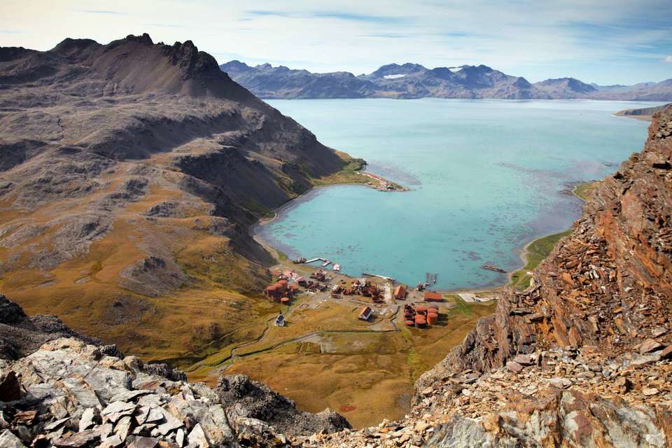 South Georgia and Antarctic Peninsula: Penguin Safari - Exodus Adventure Travels - Argentina - Image 13