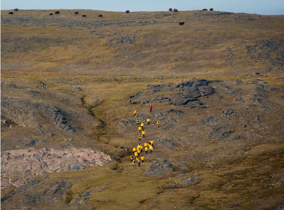 South Greenland Adventure: The Majestic Alpine Arctic - Exodus Adventure Travels - Iceland - Image 3