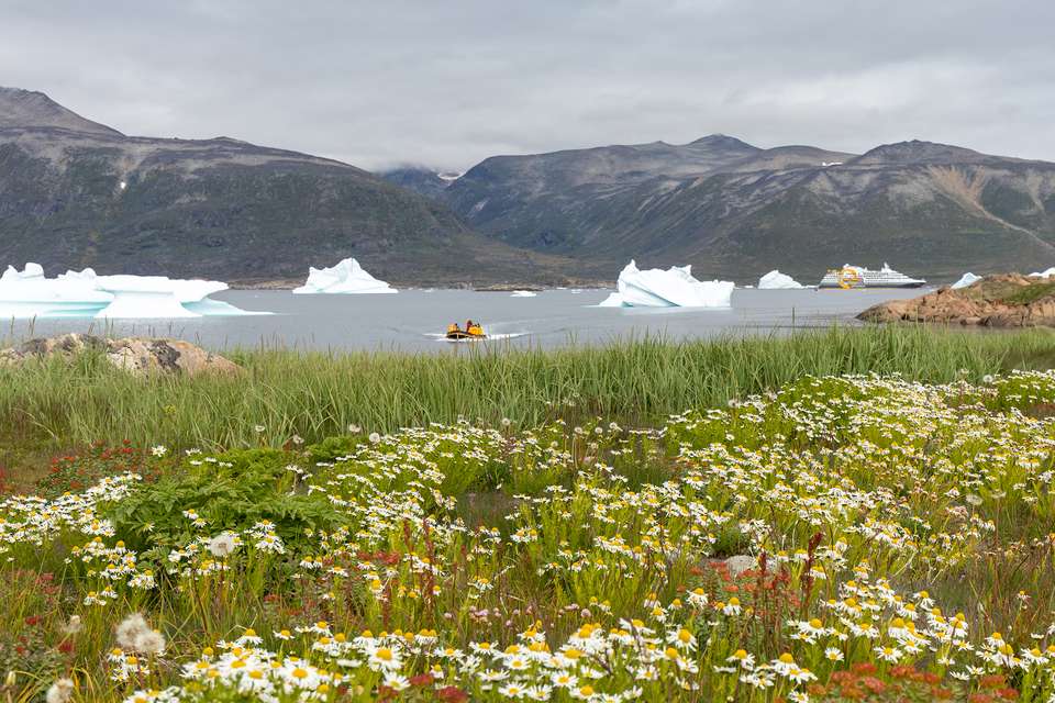 South Greenland - Alpine Exploration by Helicopter - undefined - Image 8