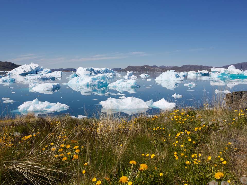 South Greenland Uncovered - 6 days - On The Go Tours - Iceland - Image 3
