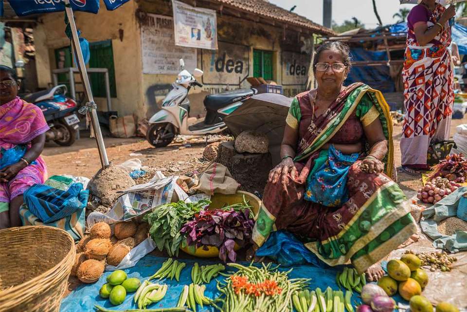 South India Revealed - Intrepid Travel - India - Image 4