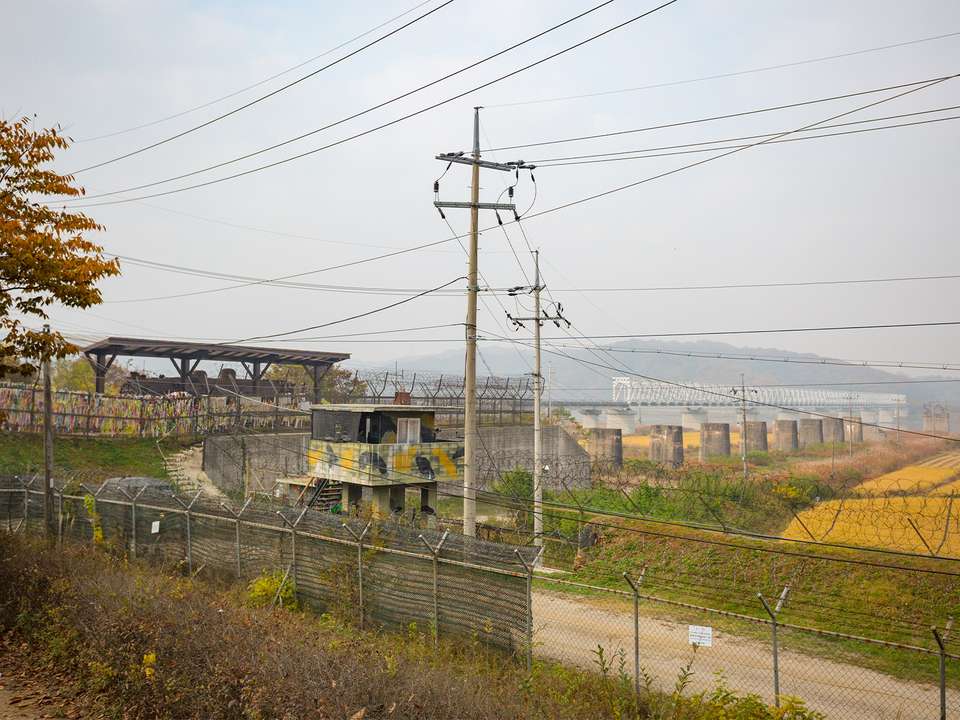 South Korea Autumn Flower Festival - 7 days - On The Go Tours - South Korea