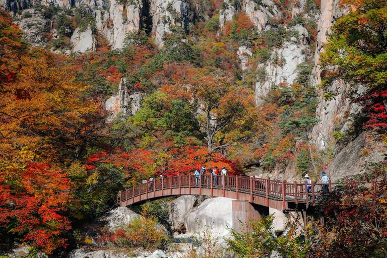 Seoul Explorer Tour: South Korea Circle Adventure 5D/4N
