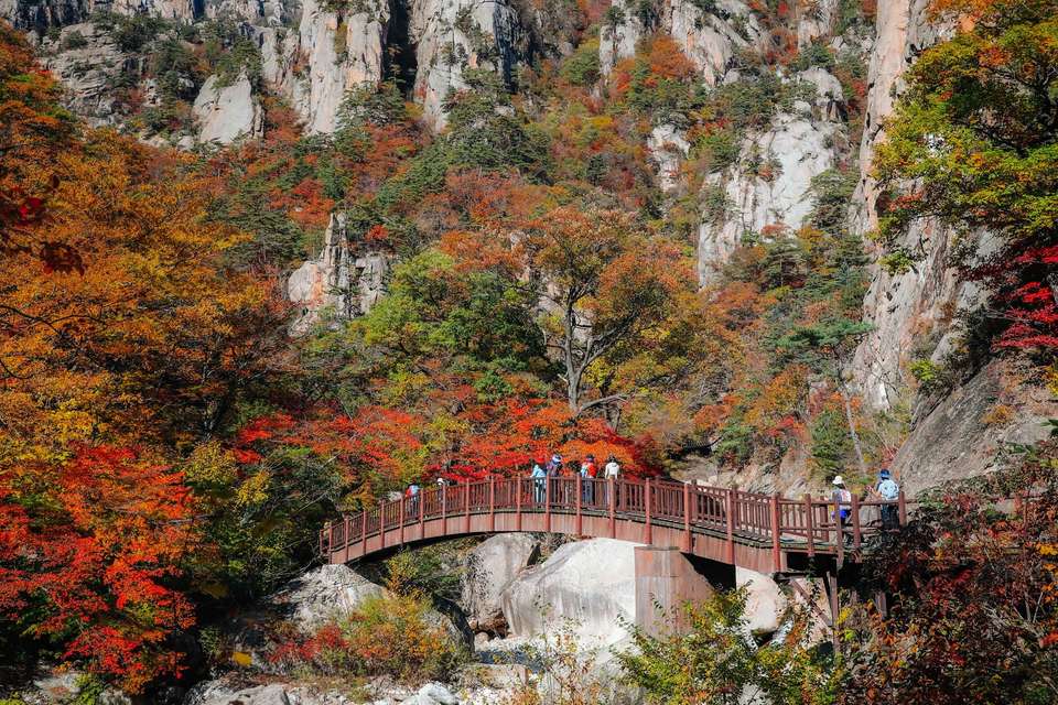 South Korea Circle Adventure 5D/4N - Bamba - South Korea - Image 1