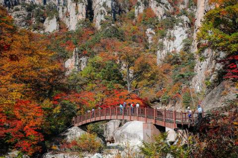 Bus Tour: South Korea Circle Adventure 5d/4n