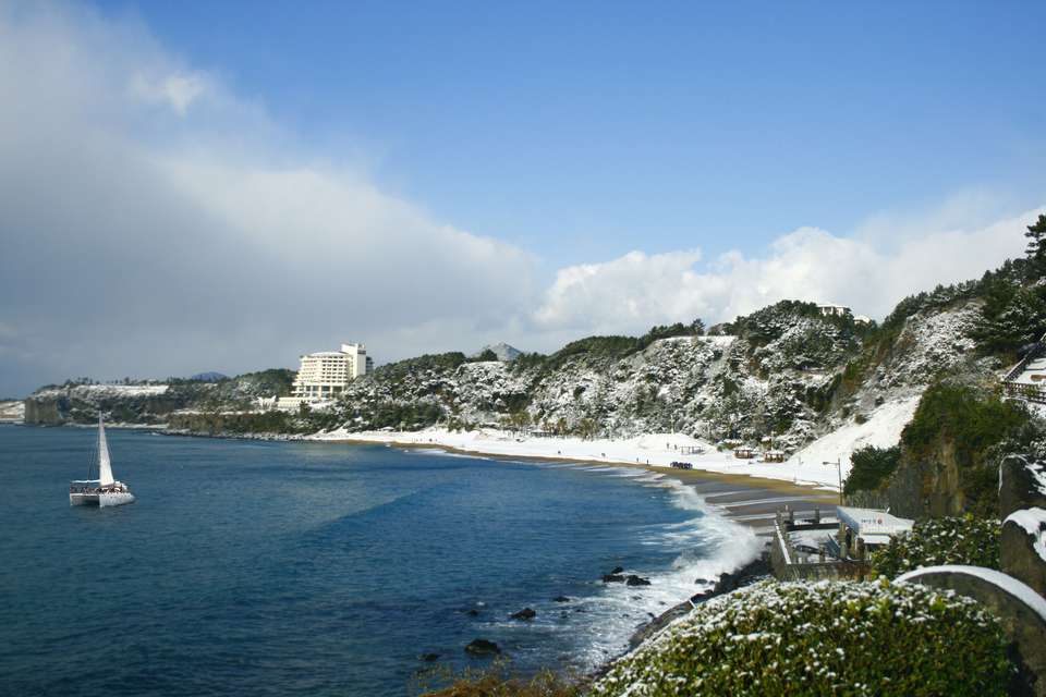 South Korea Discovery Tour - Tweet World Travel - South Korea - Image 5