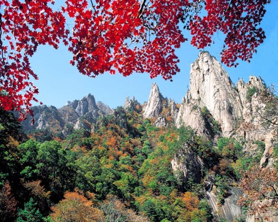 South Korea Discovery Tour - Tweet World Travel - South Korea - Image 10