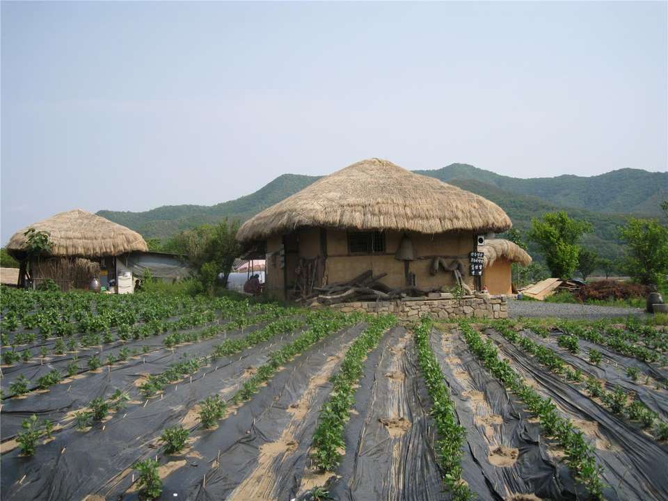 South Korea Eastern Adventure 3D/2N - Bamba - South Korea - Image 5