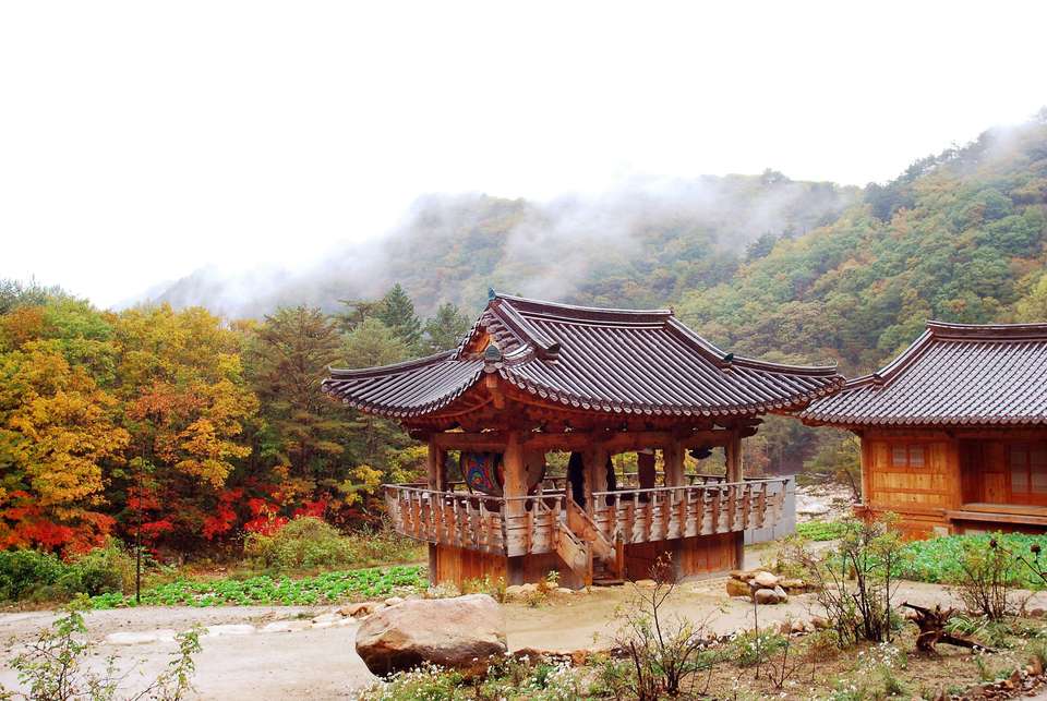 South Korea Golden Route 8D/7N - Bamba - South Korea - Image 3