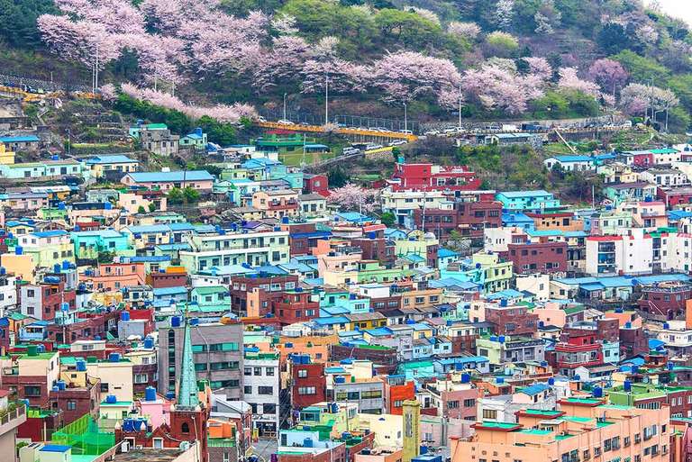 South Korea Highlights - Spring tours