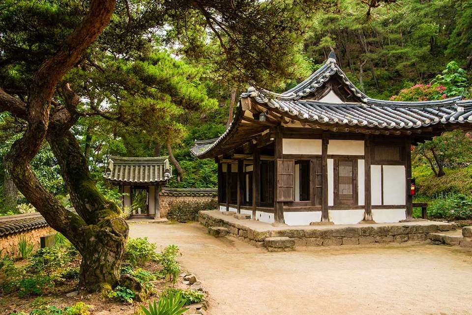 South Korea Highlights - Intrepid Travel - South Korea - Image 8
