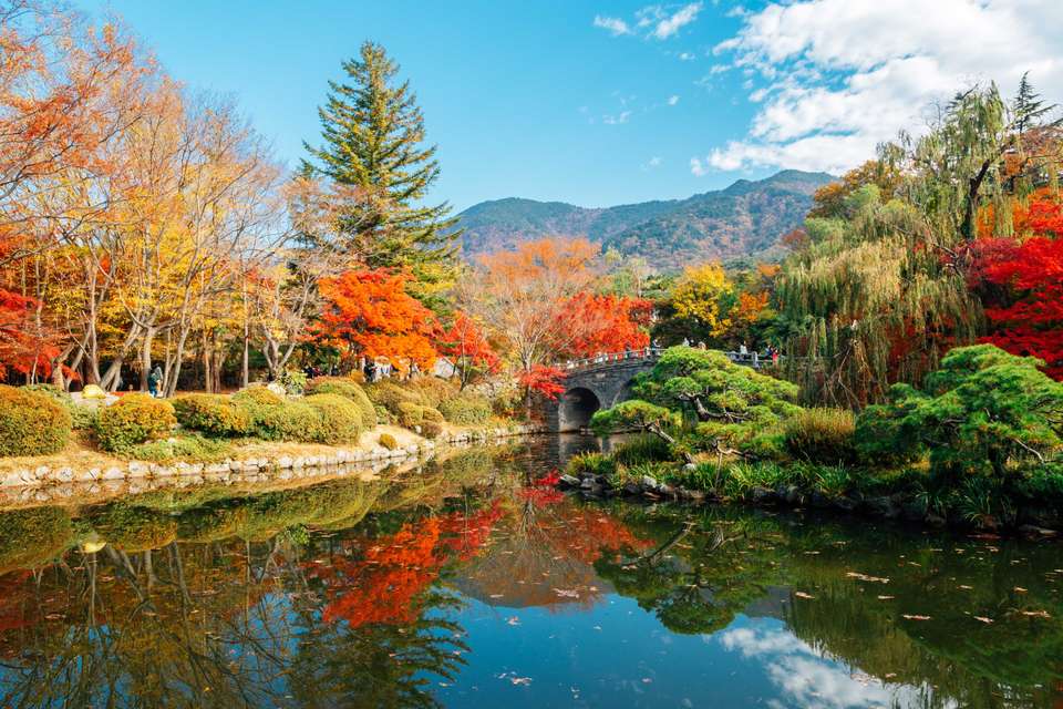 South Korea Highlights Tour - Tweet World Travel - South Korea - Image 5