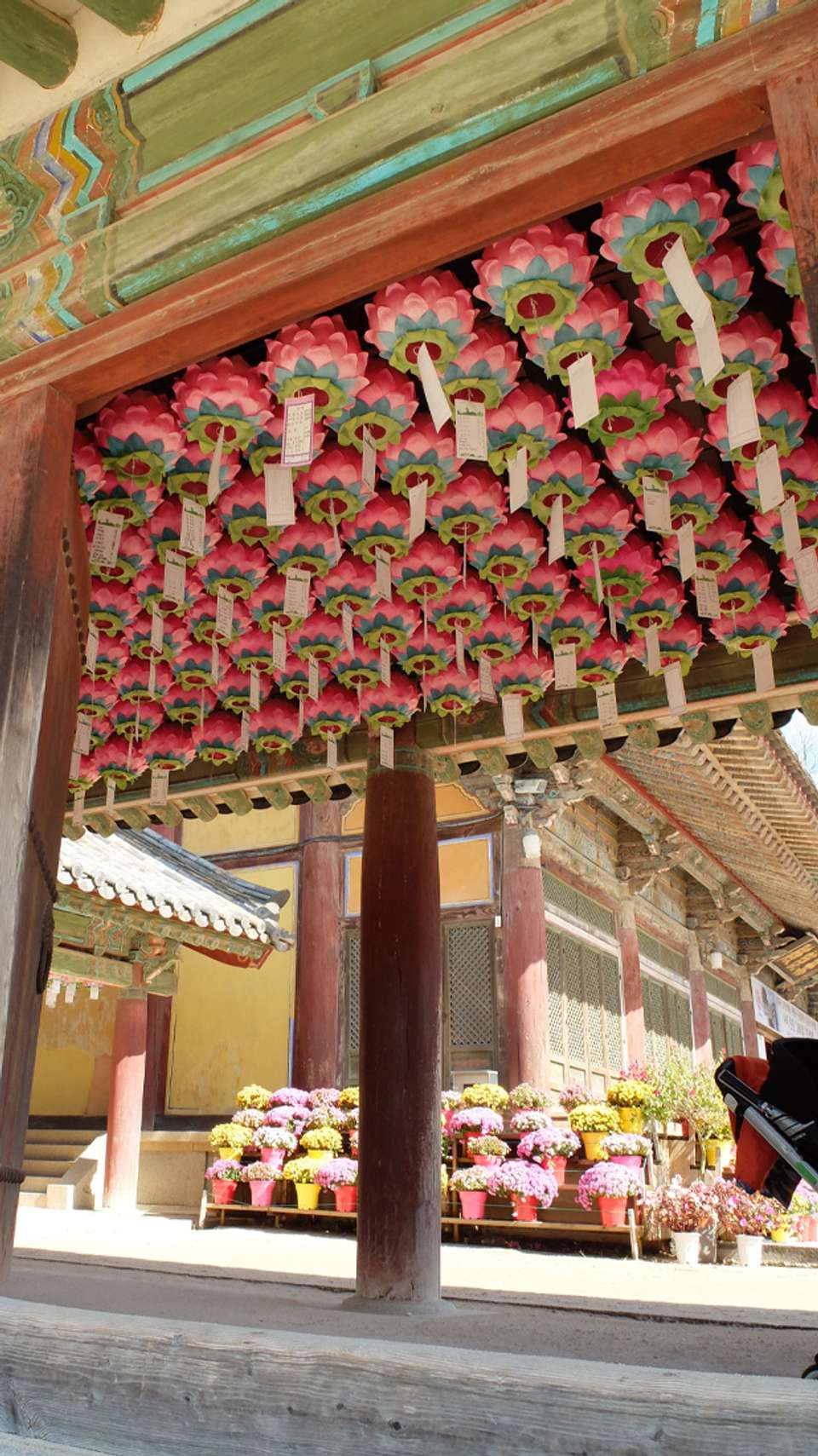 South Korea: K-Pop & Kimchi - Topdeck - South Korea - Image 3