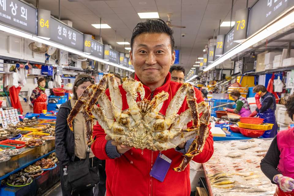 South Korea Real Food Adventure - Intrepid Travel - South Korea - Image 1