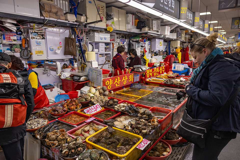 South Korea Real Food Adventure - Intrepid Travel - South Korea - Image 10
