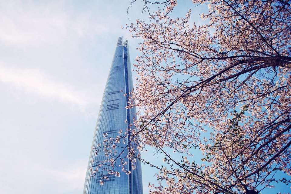 South Korea: Seoul, Busan & Beyond - Trutravels - South Korea - Image 7