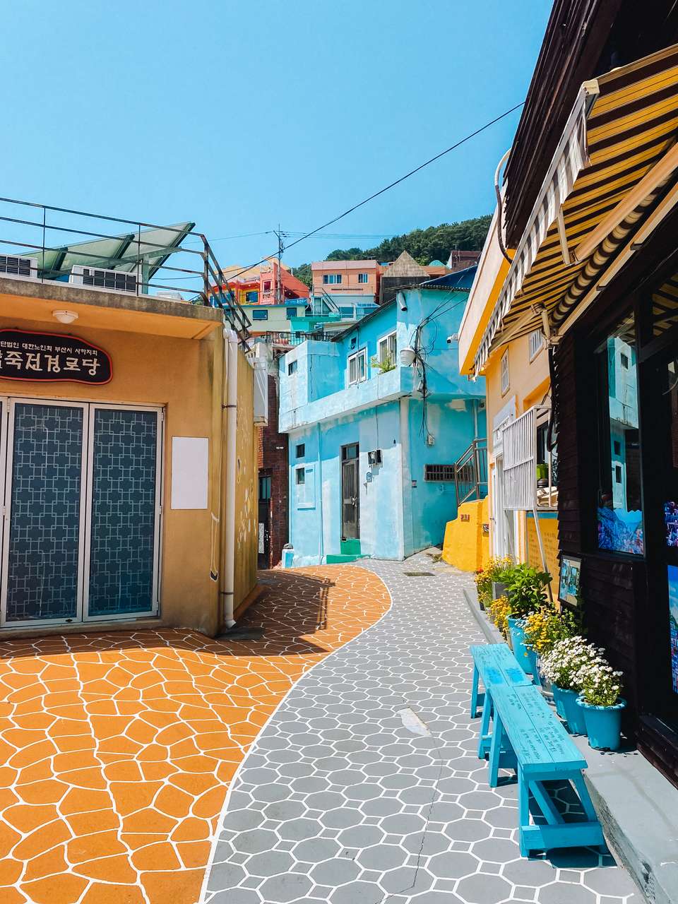 South Korea: Seoul, Busan & Beyond - Trutravels - South Korea - Image 9