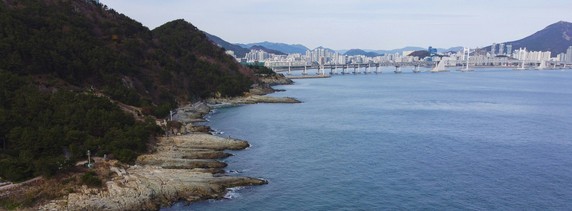 Image 5 of 8