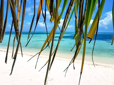 South Maldives Island Hopping - 8 Days