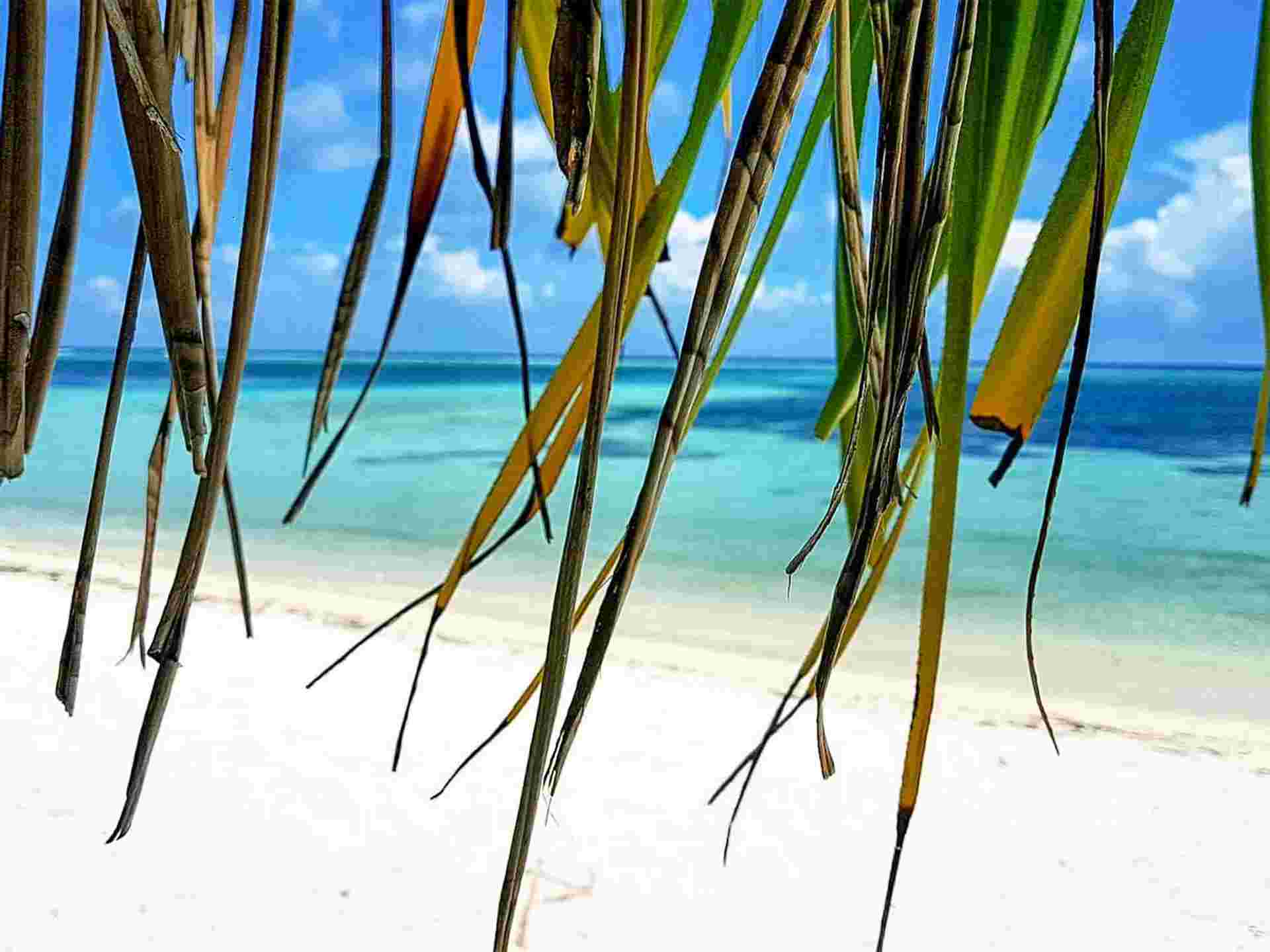 South Maldives Island Hopping - 8 days