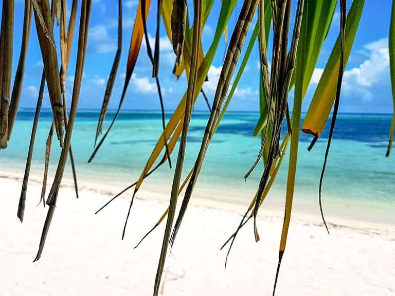South Maldives Island Hopping - 8 days - 8 days
