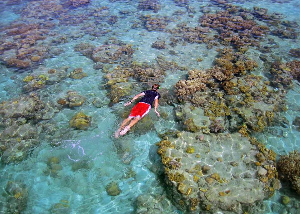 South Pacific Wonders including New Zealand's North Island - Collette Tours - New Zealand - Image 5