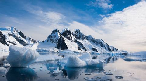 Antarctica Guided Tours: South Shetland Islands & Antarctic Peninsula