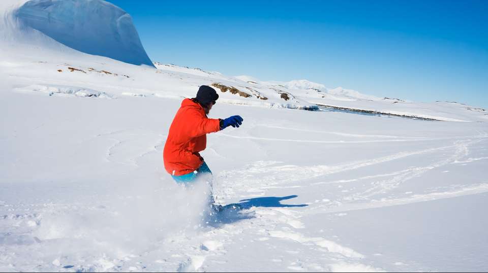 South Shetland Islands & Antarctic Peninsula - undefined - Image 6