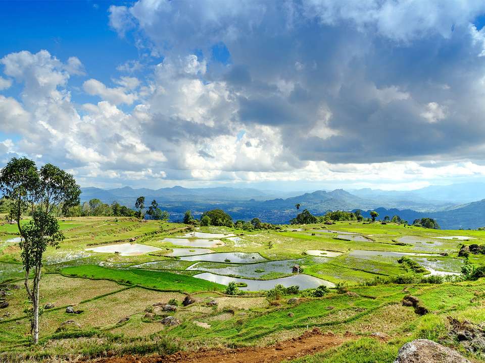 South Sulawesi Discovery - 6 days - On The Go Tours - Indonesia - Image 4