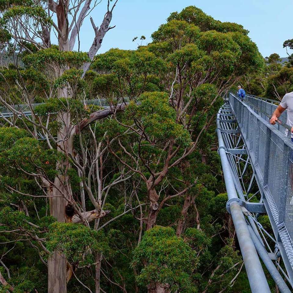 South Western Escape - Aat Kings - Australia - Image 2
