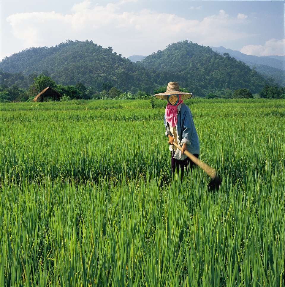 Southeast Asia Family Adventure - Exodus Adventure Travels - Vietnam - Image 5