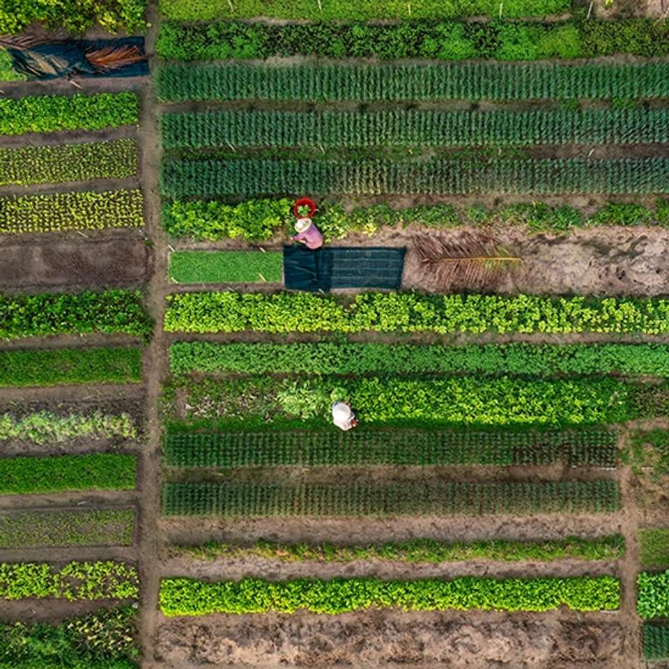 Image 8 of 23