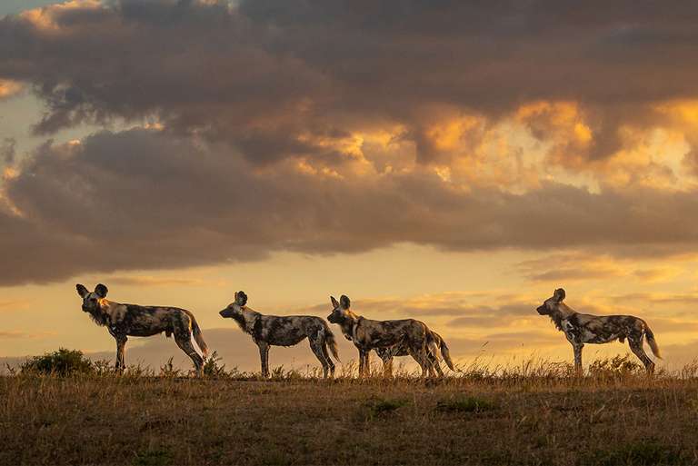 Southern Africa Adventure - December 2026