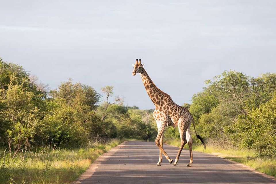 Southern Africa Adventure - Intrepid Travel - South Africa