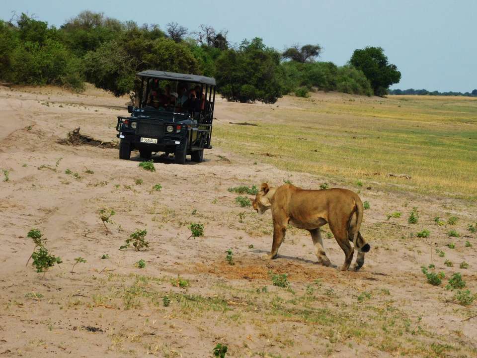 Southern Africa Cape to Falls - 20 days   - On The Go Tours - South Africa - Image 12