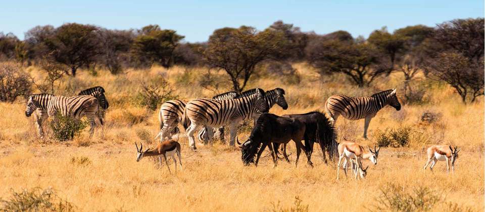 Southern Africa Explorer (VFA to CPT) - World Expeditions - Zimbabwe - Image 3
