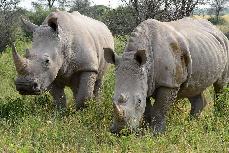 Southern Africa Highlights - Intrepid Travel - Namibia - Image 8