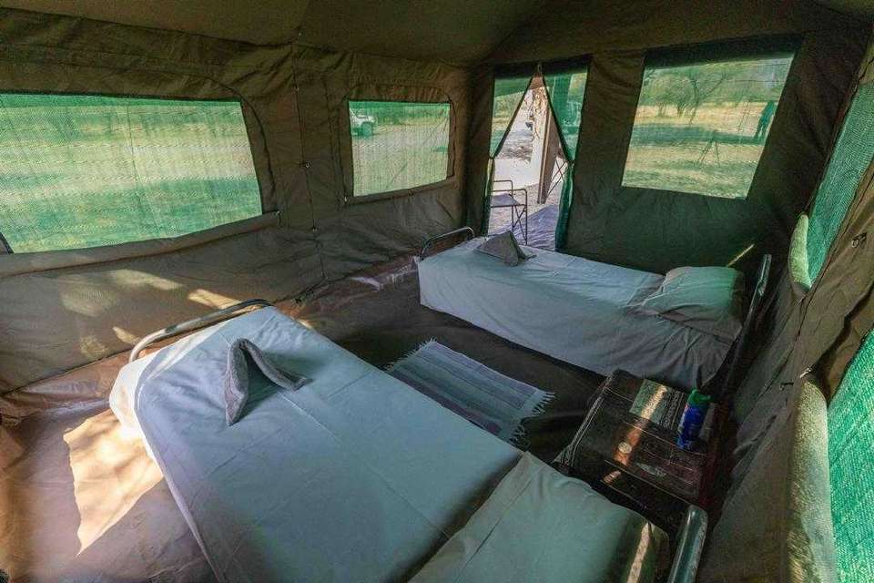Southern Africa: Kruger, Victoria Falls & Zimbabwe National Parks - G Adventures - Zimbabwe - Image 10