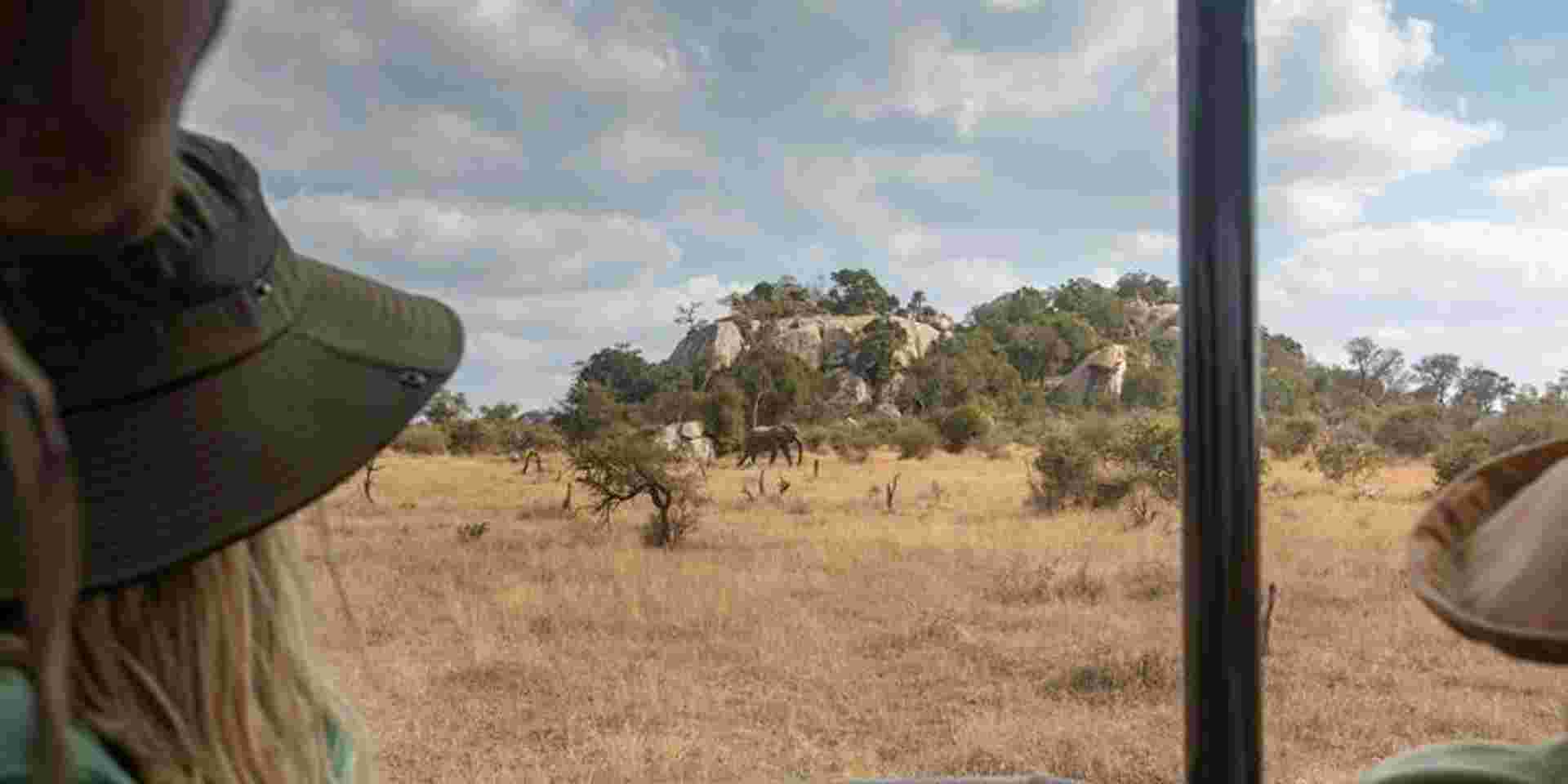Southern Africa: National Parks of Zimbabwe & Kruger Wildlife Tracking