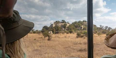 Southern Africa: National Parks Of Zimbabwe & Kruger Wildlife Tracking