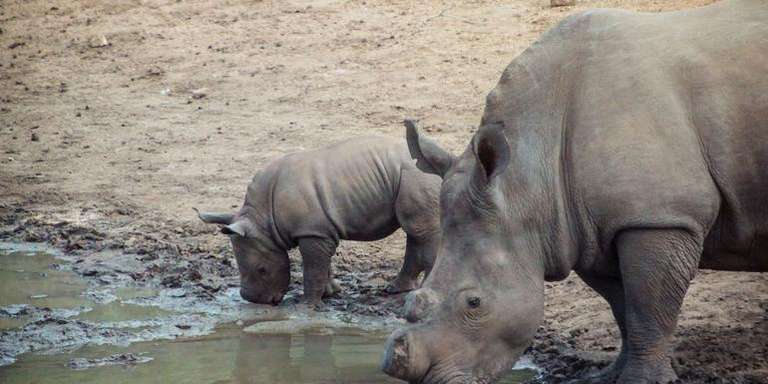 Southern Africa Overland Safari & Participation Camping - September 2027