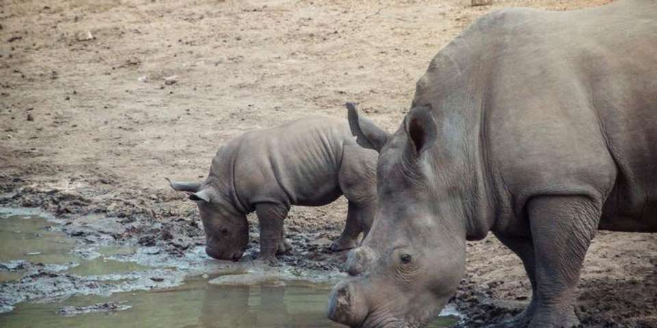 Southern Africa Overland Safari & Participation Camping - undefined - Image 1