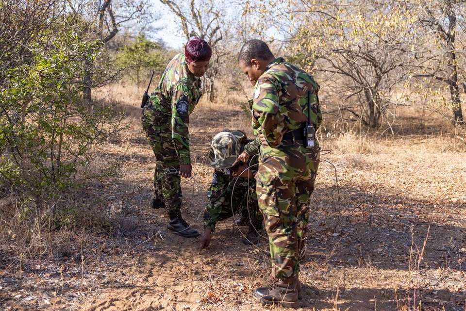 Southern Africa Safari - Intrepid Travel - Zimbabwe - Image 11
