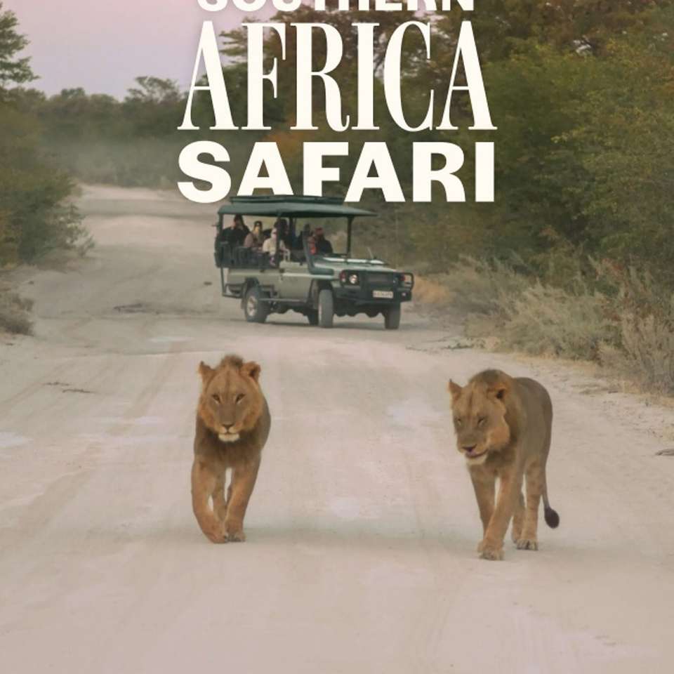Southern Africa Safari - undefined - Image 6