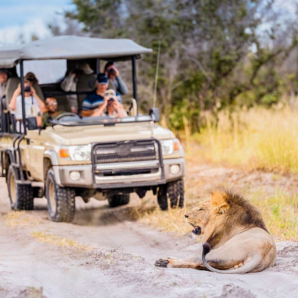 Southern Africa Safari 35 to 45 - Contiki - South Africa - Image 6