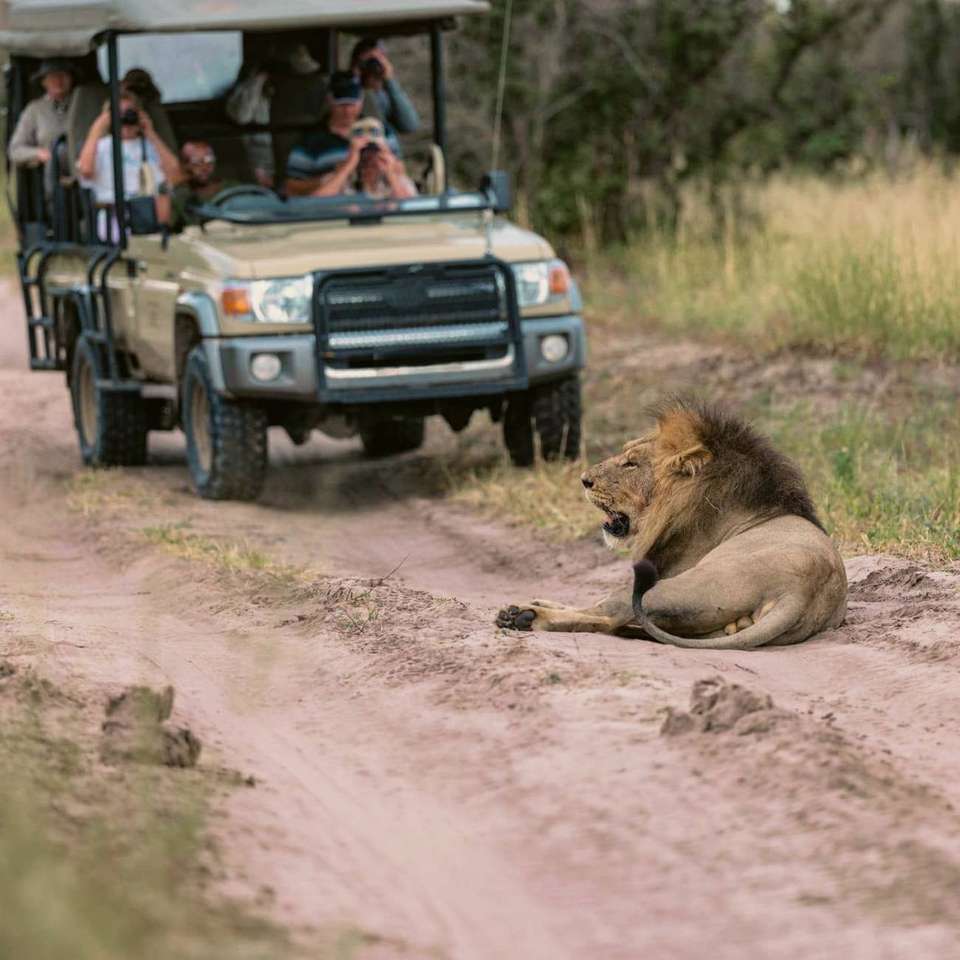 Southern Africa Safari 35 to 45 - undefined - Image 6